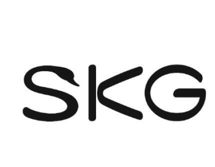 SKG-有赞服务案例-站点科技